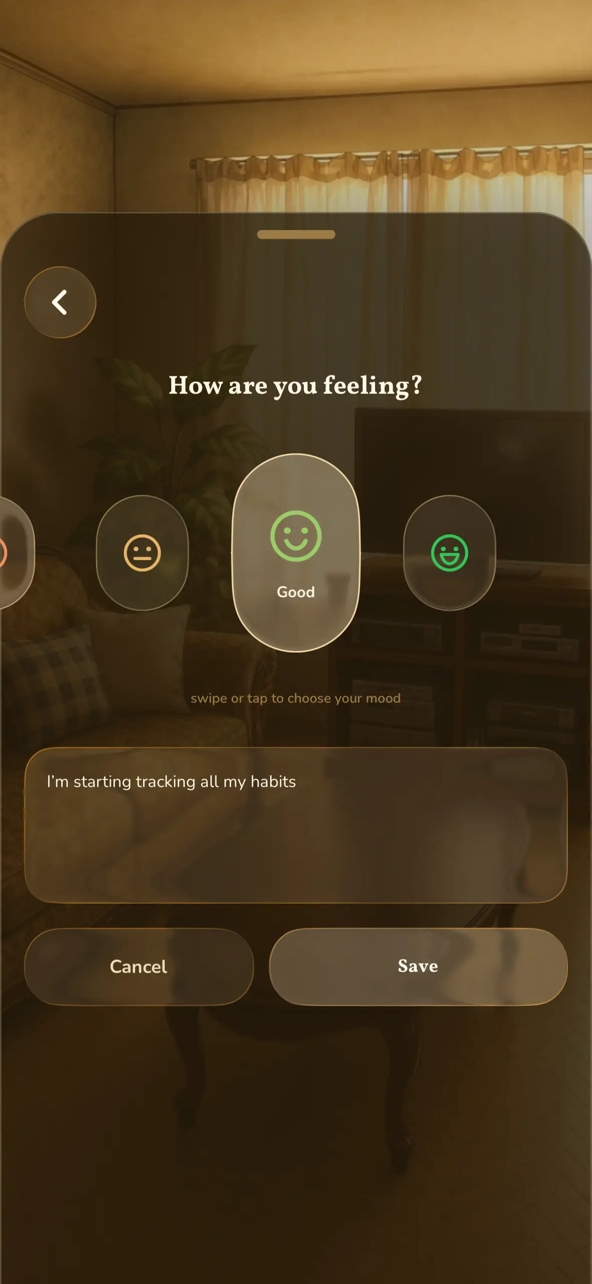 The mood screen asking “How are you feeling?”, with an emoji selector and a free text field.